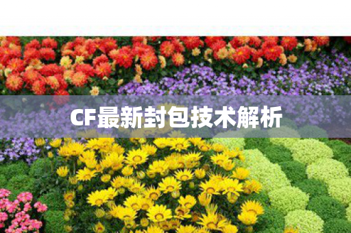 CF最新封包技术解析 CF最新封包技术解析