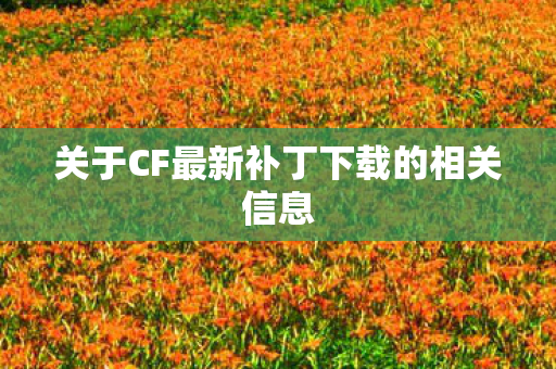 关于CF最新补丁下载的相关信息
