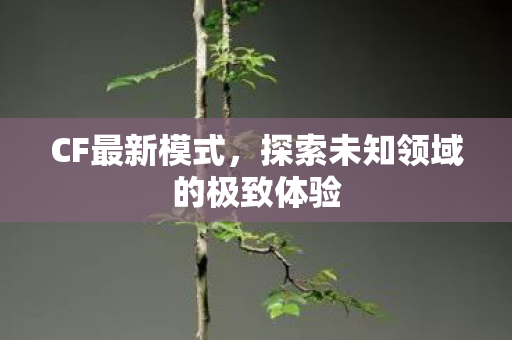 CF最新模式，探索未知领域的极致体验