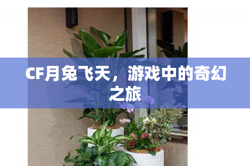 CF月兔飞天,游戏中的奇幻之旅 CF月兔飞天,游戏中的奇幻之旅