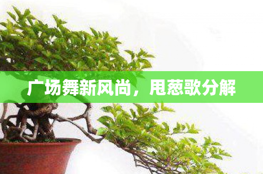 广场舞新风尚,甩葱歌分解 广场舞新风尚,甩葱歌分解