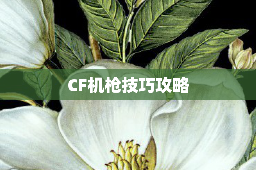 CF机枪技巧攻略