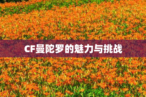 CF曼陀罗的魅力与挑战 CF曼陀罗的魅力与挑战