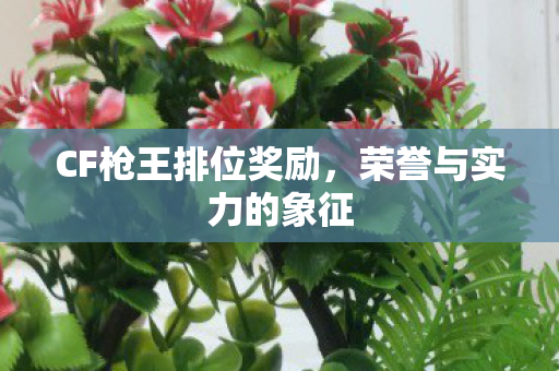 CF枪王排位奖励，荣誉与实力的象征