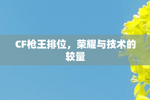 CF枪王排位，荣耀与技术的较量