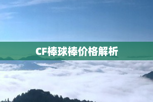 CF棒球棒价格解析