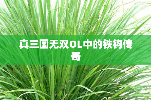 真三国无双OL中的铁钩传奇