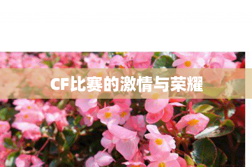 CF比赛的激情与荣耀 CF比赛的激情与荣耀