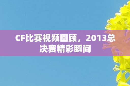 CF比赛视频回顾,2013总决赛精彩瞬间 CF比赛视频回顾,2013总决赛精彩瞬间