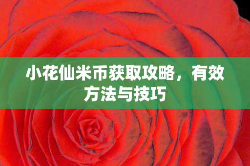 小花仙米币获取攻略，有效方法与技巧
