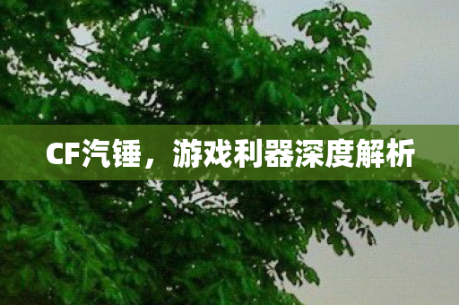 CF汽锤，游戏利器深度解析