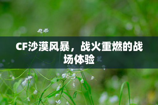 CF沙漠风暴,战火重燃的战场体验 CF沙漠风暴,战火重燃的战场体验