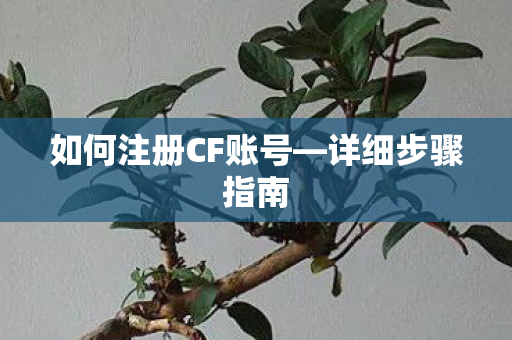 如何注册CF账号—详细步骤指南
