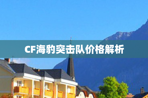 CF海豹突击队价格解析