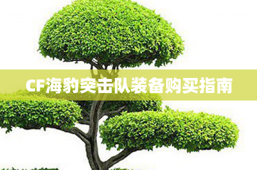 CF海豹突击队装备购买指南