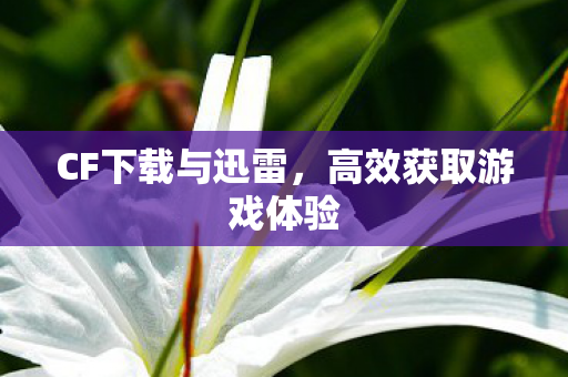 CF下载与迅雷，高效获取游戏体验