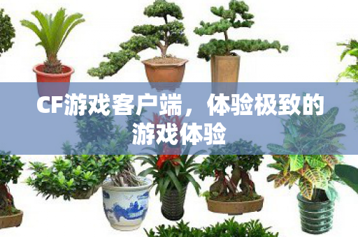 CF游戏客户端,体验极致的游戏体验 CF游戏客户端,体验极致的游戏体验