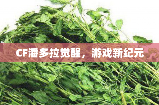 CF潘多拉觉醒,游戏新纪元 CF潘多拉觉醒,游戏新纪元