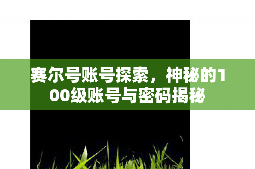 赛尔号账号探索，神秘的100级账号与密码揭秘