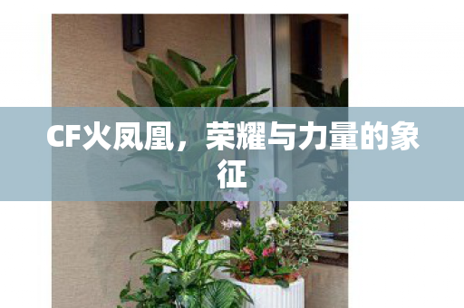 CF火凤凰，荣耀与力量的象征