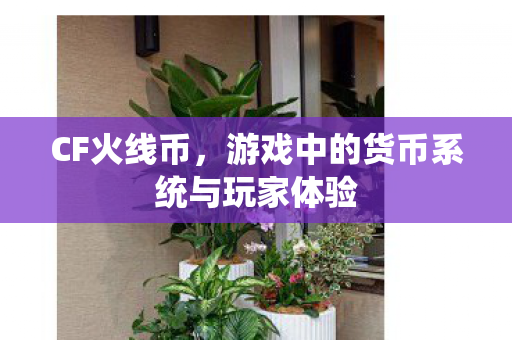 CF火线币，游戏中的货币系统与玩家体验