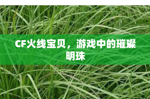 CF火线宝贝,游戏中的璀璨明珠 CF火线宝贝,游戏中的璀璨明珠