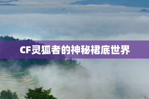 CF灵狐者的神秘裙底世界