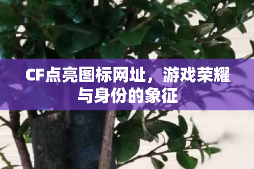 CF点亮图标网址,游戏荣耀与身份的象征 CF点亮图标网址,游戏荣耀与身份的象征
