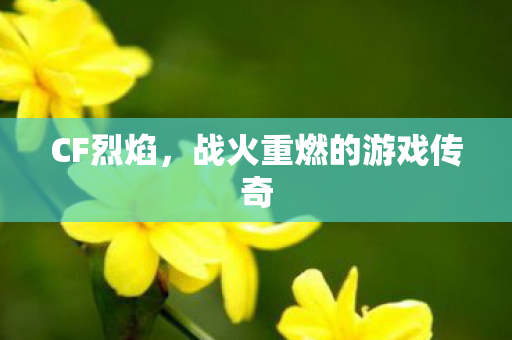 CF烈焰,战火重燃的游戏传奇 CF烈焰,战火重燃的游戏传奇