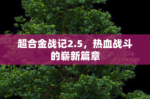 超合金战记2.5，热血战斗的崭新篇章