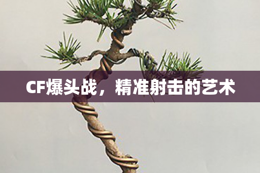 CF爆头战,精准射击的艺术 CF爆头战,精准射击的艺术