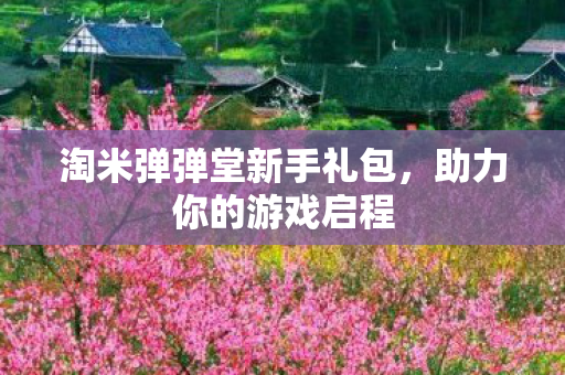 淘米弹弹堂新手礼包，助力你的游戏启程