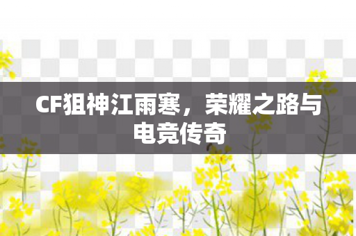 CF狙神江雨寒,荣耀之路与电竞传奇 CF狙神江雨寒,荣耀之路与电竞传奇