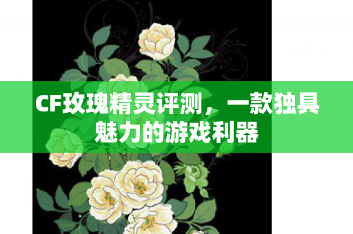 CF玫瑰精灵评测，一款独具魅力的游戏利器