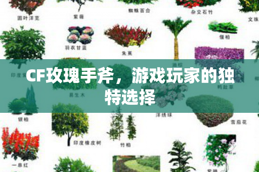 CF玫瑰手斧，游戏玩家的独特选择