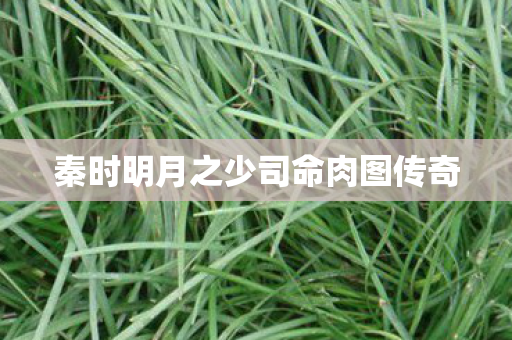 秦时明月之少司命肉图传奇 秦时明月之少司命肉图传奇