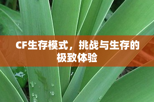 CF生存模式，挑战与生存的极致体验