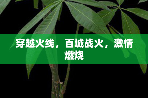 穿越火线,百城战火,激情燃烧 穿越火线,百城战火,激情燃烧