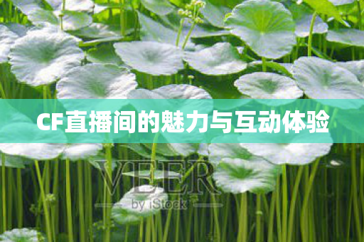 CF直播间的魅力与互动体验