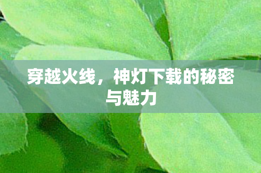 穿越火线，神灯下载的秘密与魅力