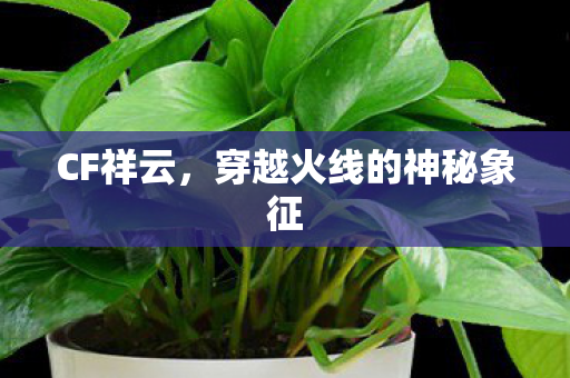CF祥云，穿越火线的神秘象征