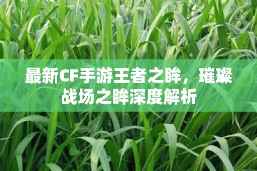 最新CF手游王者之眸，璀璨战场之眸深度解析