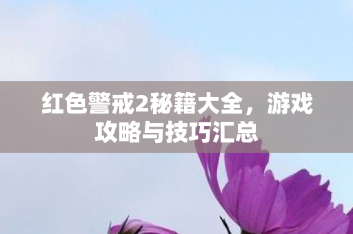 红色警戒2秘籍大全，游戏攻略与技巧汇总
