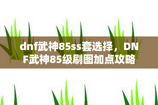 dnf武神85ss套选择，DNF武神85级刷图加点攻略