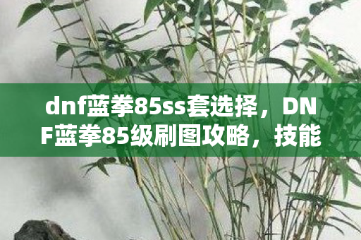 dnf蓝拳85ss套选择,DNF蓝拳85级刷图攻略,技能加点详解 dnf蓝拳85ss套选择,DNF蓝拳85级刷图攻略,技能加点详解