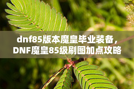 dnf85版本魔皇毕业装备，DNF魔皇85级刷图加点攻略，掌握核心技能，轻松提升效率
