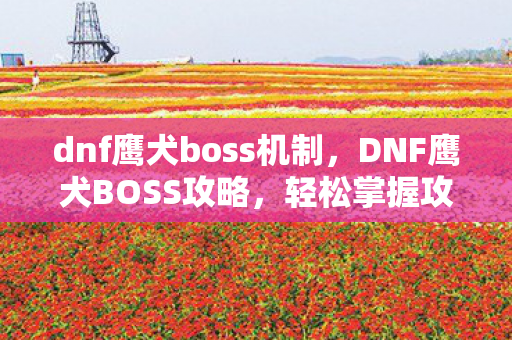 dnf鹰犬boss机制，DNF鹰犬BOSS攻略，轻松掌握攻略技巧，轻松通关！