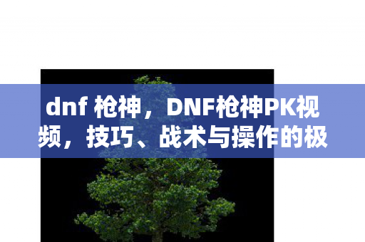 dnf 枪神，DNF枪神PK视频，技巧、战术与操作的极致展现
