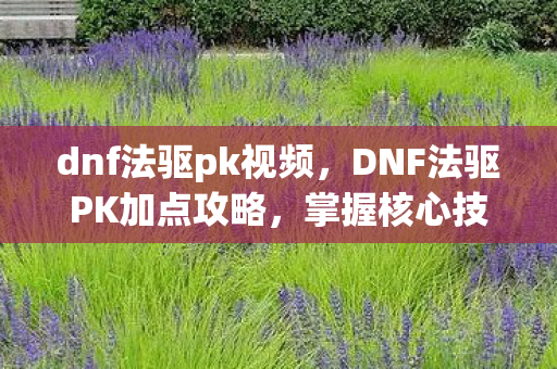 dnf法驱pk视频，DNF法驱PK加点攻略，掌握核心技能，轻松登顶竞技场