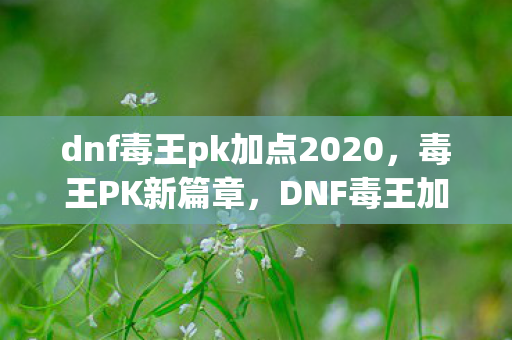 dnf毒王pk加点2020,毒王PK新篇章,DNF毒王加点攻略 dnf毒王pk加点2020,毒王PK新篇章,DNF毒王加点攻略